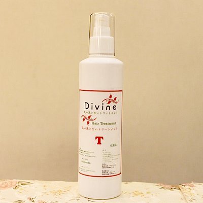 Divine treatment T 250ml